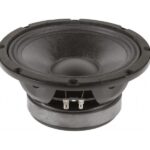 Altavoz  8'  300Waes BEYMA 8WR300