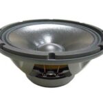 Altavoz 10' 300Waes BEYMA 10WR300