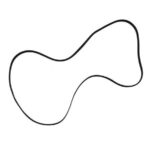 Correa Audio Plana 169x0,70x5mm