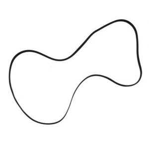 Correa Audio Plana 169x0,70x5mm