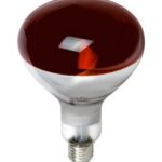Bombilla Infrarroja CALOR E27 150W 230Vac Rojo DH