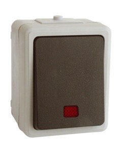 Interruptor Luminoso Superficie Estanco 10A/250Vac IP44