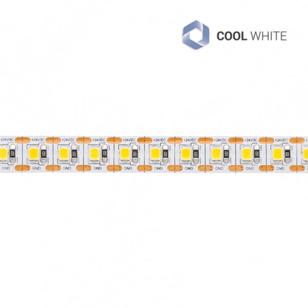Tira LED 6000K 24V 20W/m 120LED/m IP20 5m