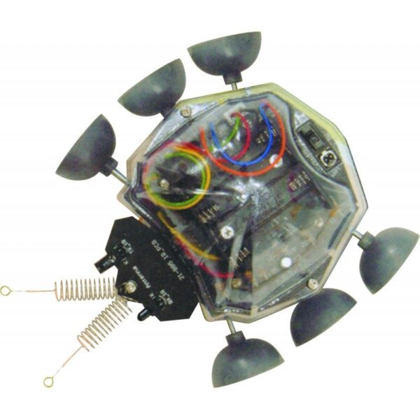 Robot Ladybug Movimiento, Esquiva Obstaculos C-9812 Cebek