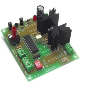 Automatismo Regulador Tiras led belen 12V 4Amp Cebek R-41