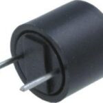 Fusible Lento Miniatura 1A  R5,08mm RFT-1A