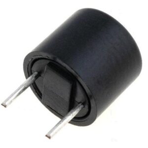 Fusible Lento Miniatura 250mA  R5,08mm RFT-0,250A