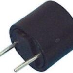 Fusible Lento Miniatura 2Amp 250Vac Raster 5,08mm
