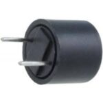 Fusible Lento Miniatura RFT-1,25Amp   R5,08mm