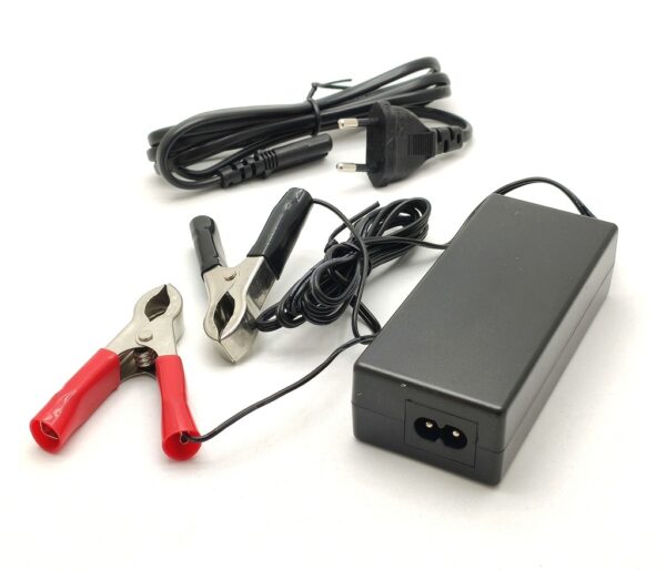 CARGADOR Batería Plomo y GEL 24V/2Amh con pinzas